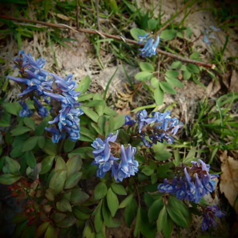 a0329935_05573706.jpeg