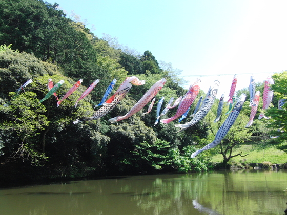 外出レク ~ 鎌倉中央公園 ~_e0222340_1613155.jpg