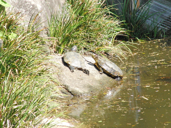 外出レク ~ 鎌倉中央公園 ~_e0222340_16133241.jpg