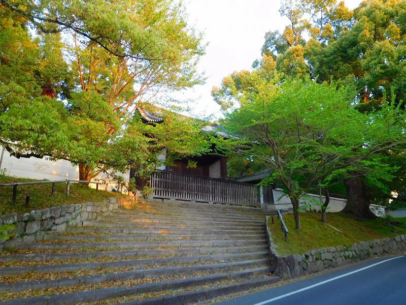 東山　青蓮院・知恩院前道の散策20170419_e0237645_11552324.jpg