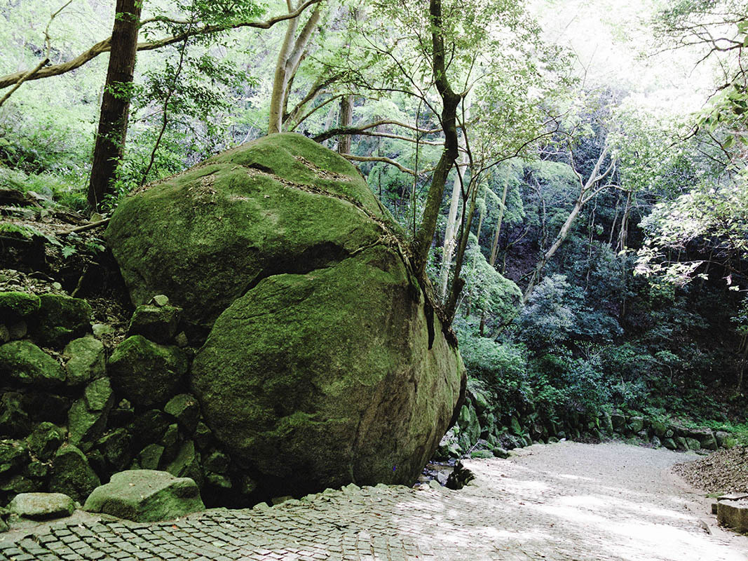 苔のむすまで_c0318858_03002574.jpg