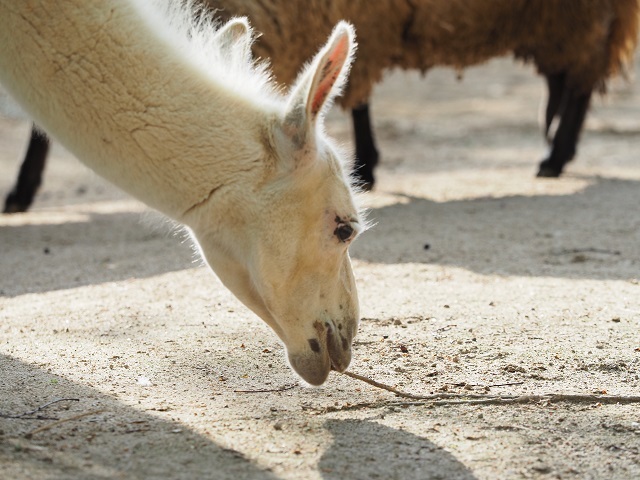c0357659_00214759.jpg