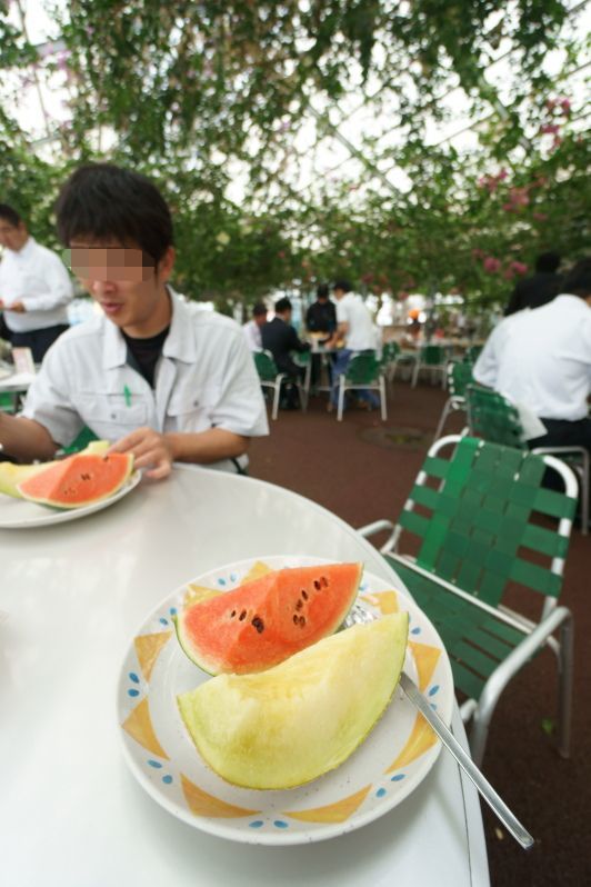 西島園芸団地_a0077663_06443505.jpg