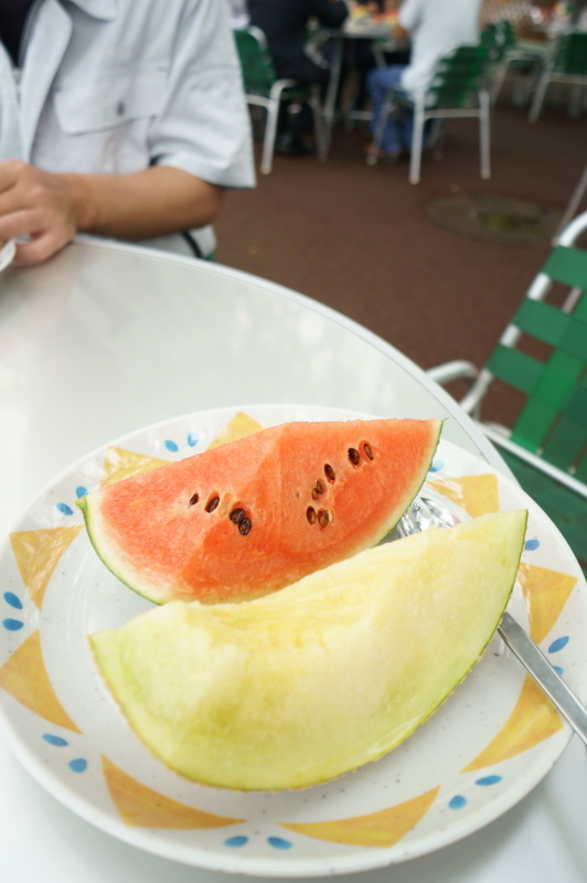 西島園芸団地_a0077663_06443855.jpg