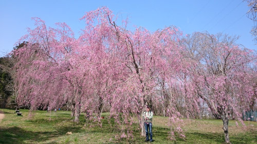 三神峰公園で花見(^o^)／_d0022566_19413899.jpg