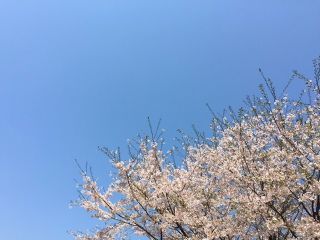 f0204368_01353721.jpg