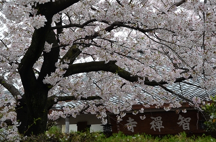 c0229483_06189.jpg