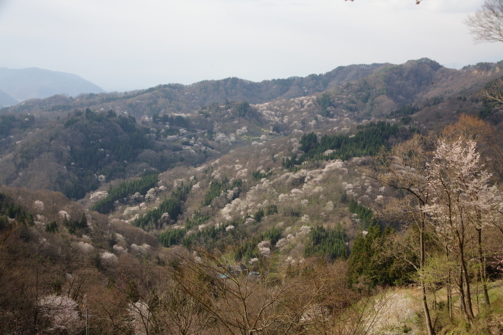 e0165983_10055412.jpg