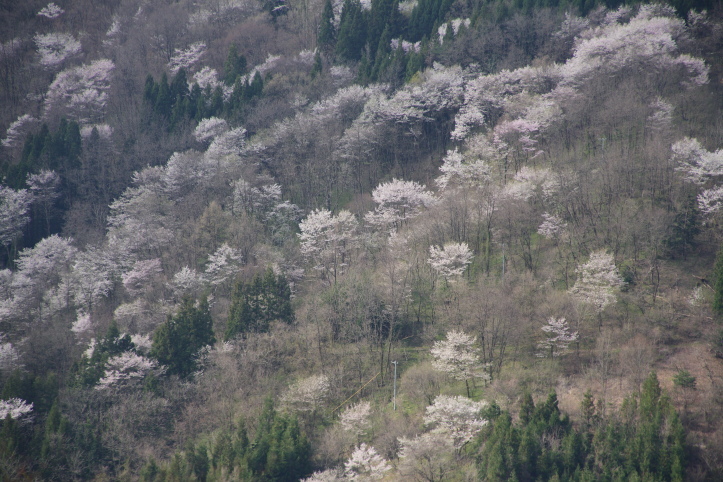 e0165983_10072918.jpg