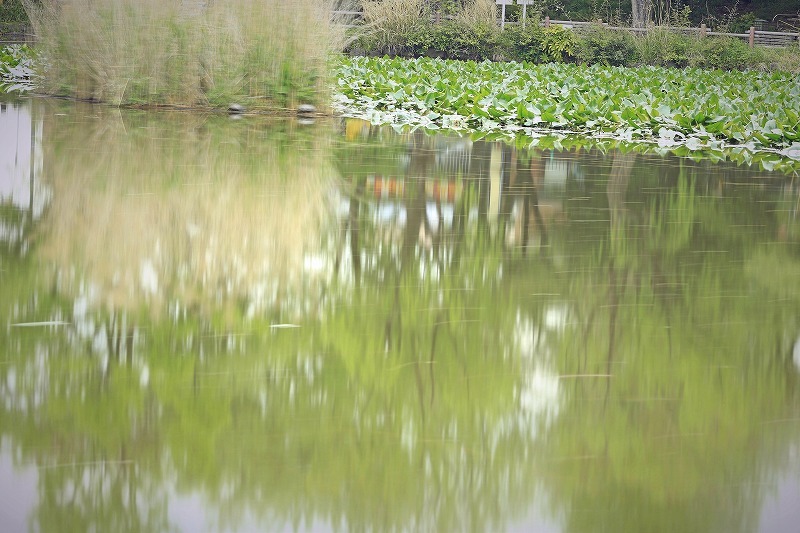 e0305388_11261384.jpg
