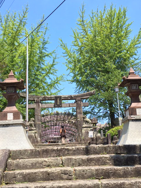 d0360391_21054590.jpg
