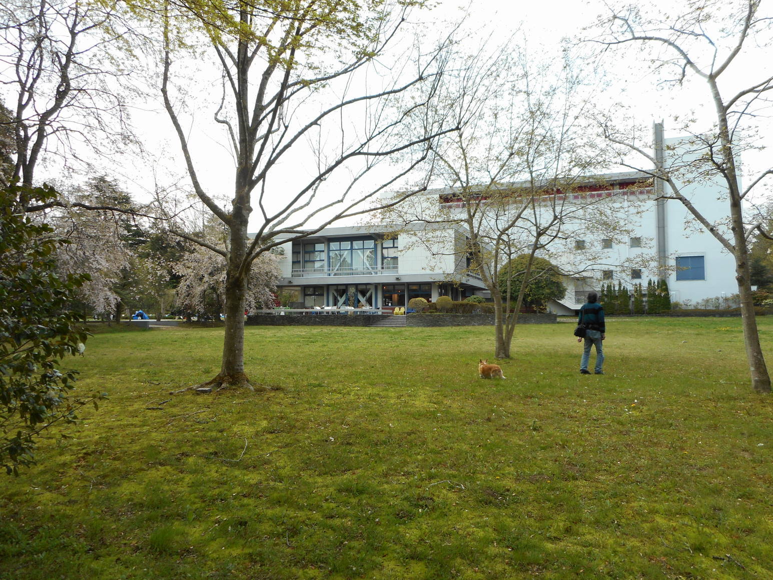 f0075595_20543490.jpg