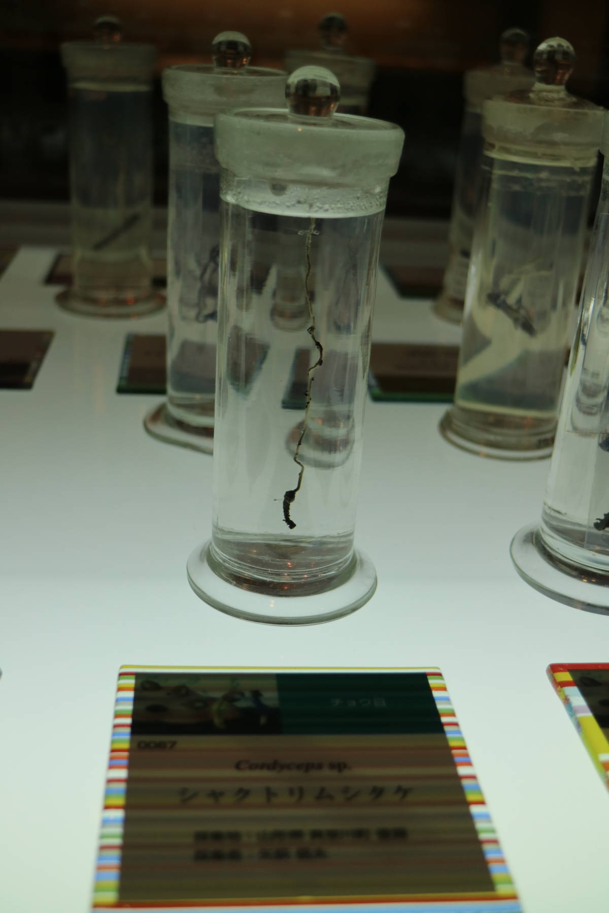f0075595_21131477.jpg