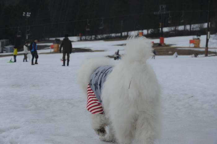 今シーズン最後の雪遊び♪　2_a0049296_16182213.jpg