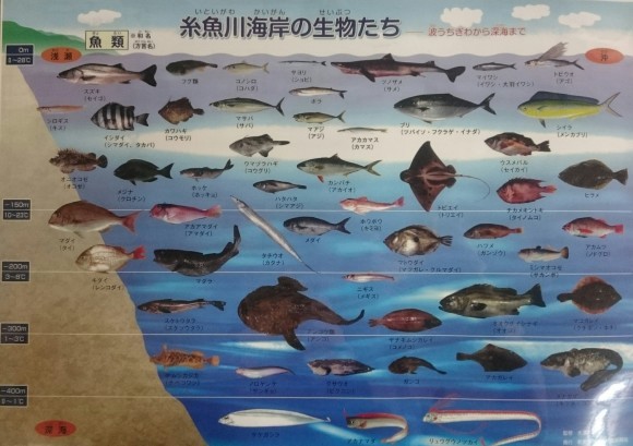 ~かっぱの民話作陶展~_d0235898_15251641.jpg