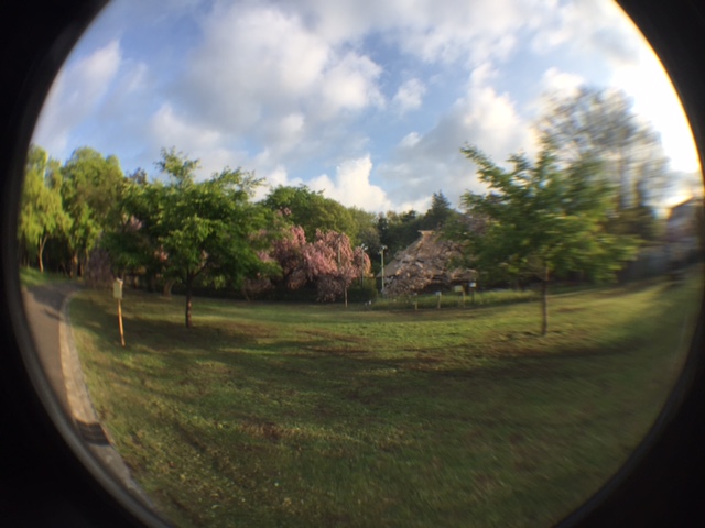 a0288500_861618.jpg
