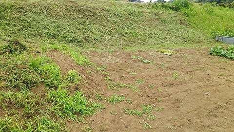 e0270403_10213734.jpg