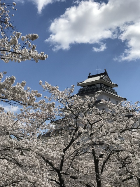 c0145608_07364680.jpg