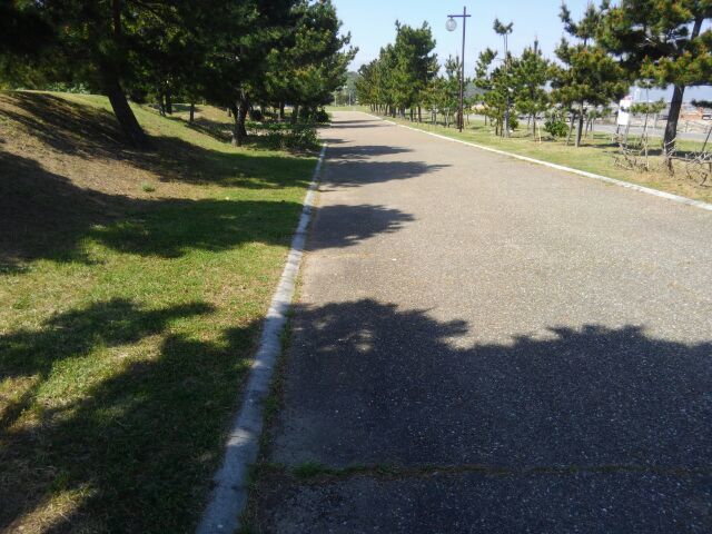 e0360409_12135921.jpg