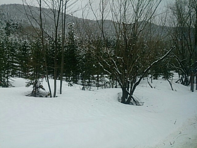 a0144610_15130089.jpg
