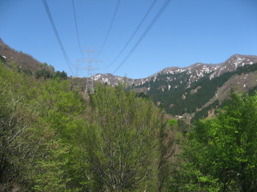 c0062511_21032945.jpg