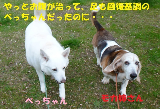 f0121712_08450779.jpg