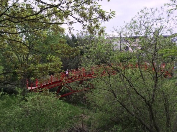 f0369014_13361280.jpg