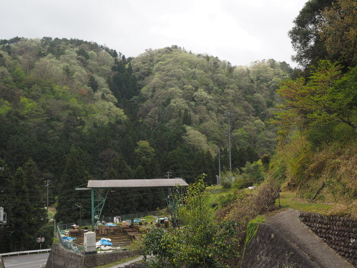 曇り、時に小雨、時に日が射し_c0116915_23205349.jpg