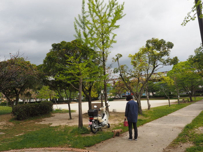 佐伯区民文化センター&五日市中央公園_c0116915_23313029.jpg