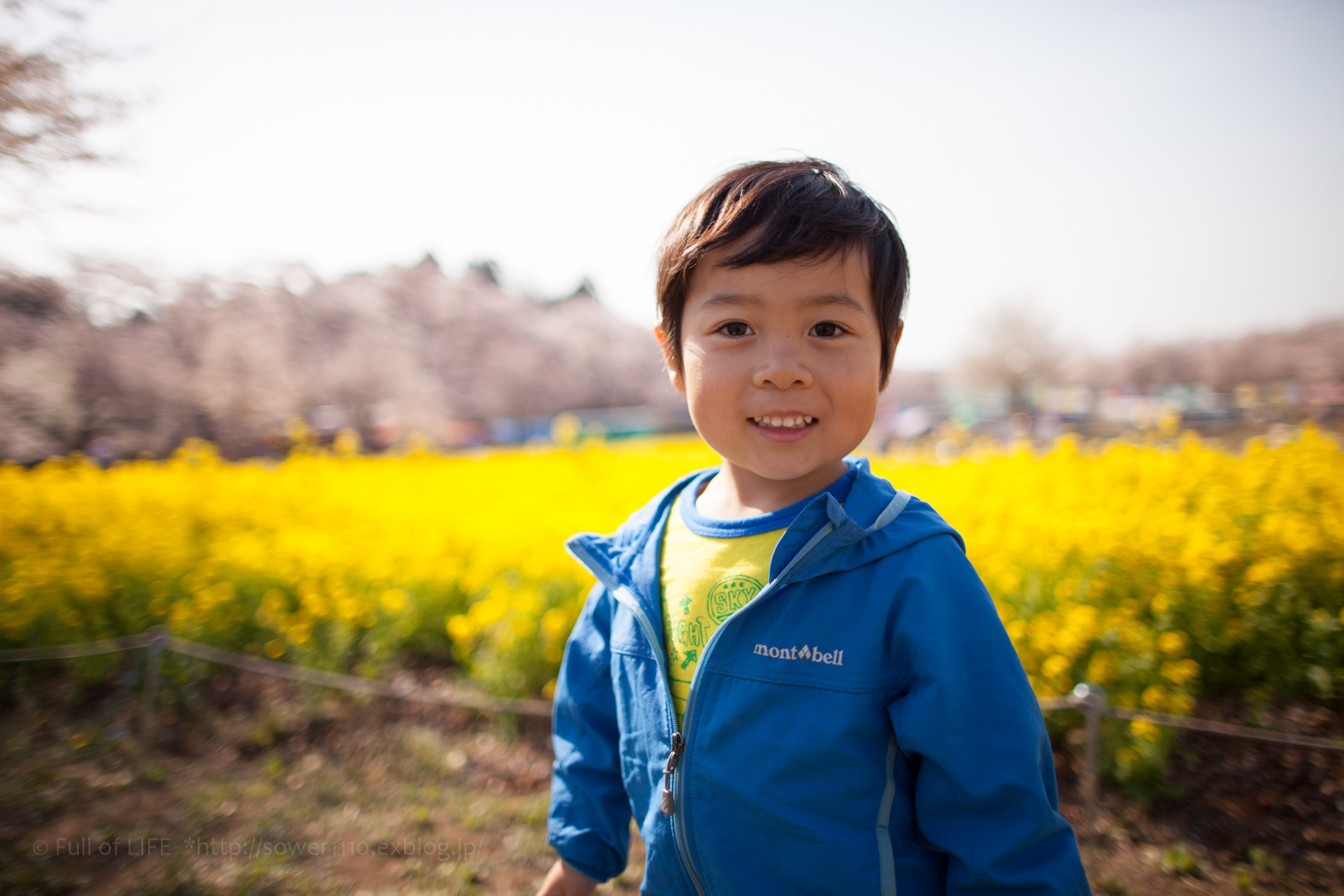 赤城南面千本桜　出発の菜の花畑_c0369219_14534877.jpg