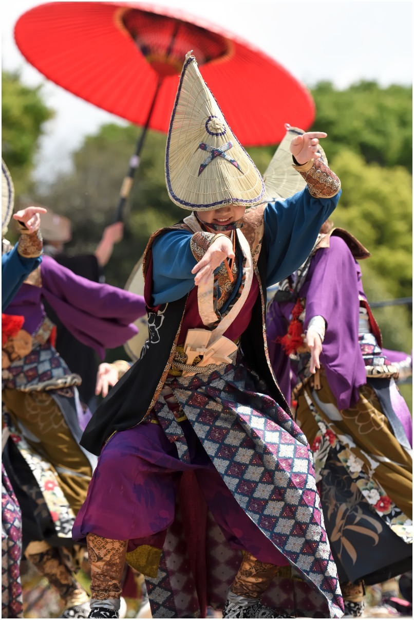 15th  あっぱれ富士 2017　「常磐」さん　愛知県_c0276323_20414443.jpg