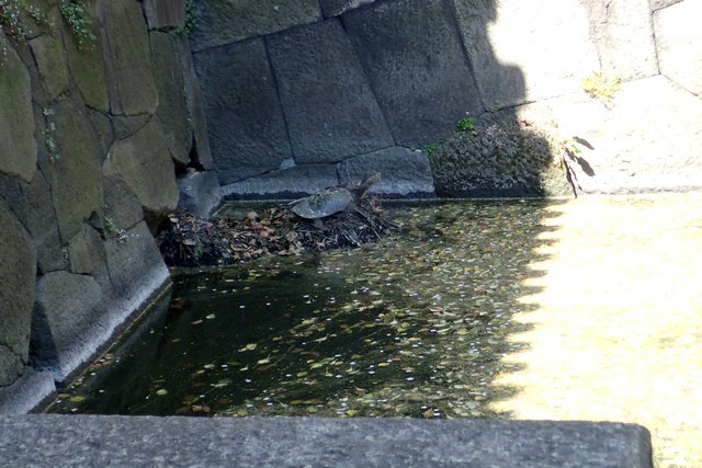 c0369423_20145866.jpg