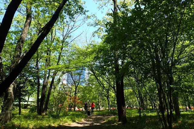 c0369423_20202111.jpg