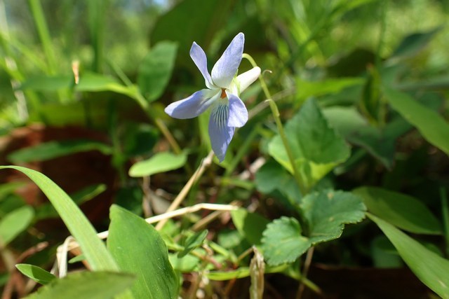 c0369423_20202761.jpg