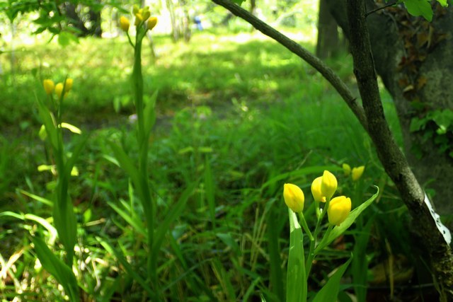c0369423_20203353.jpg