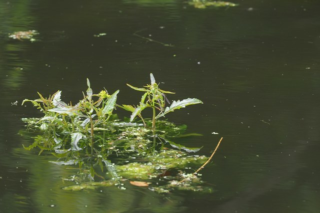 c0369423_21152277.jpg