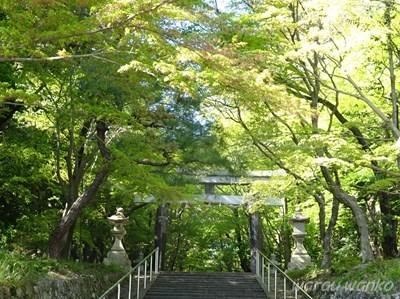 花の寺　正法寺_b0069630_19055257.jpg