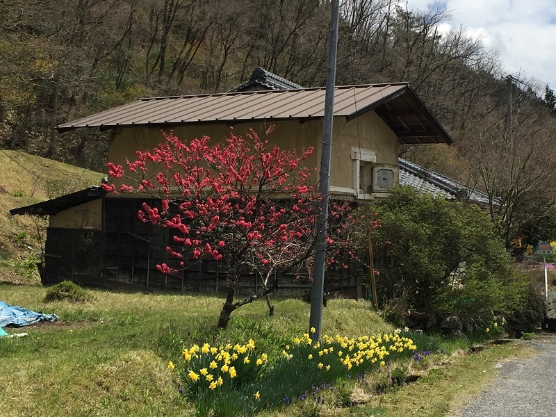 かわら版231号完成!_f0076731_19164067.jpg