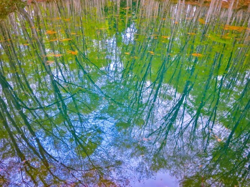 e0321032_20122202.jpg