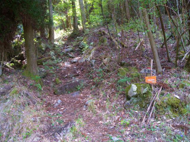 e0272335_74416.jpg