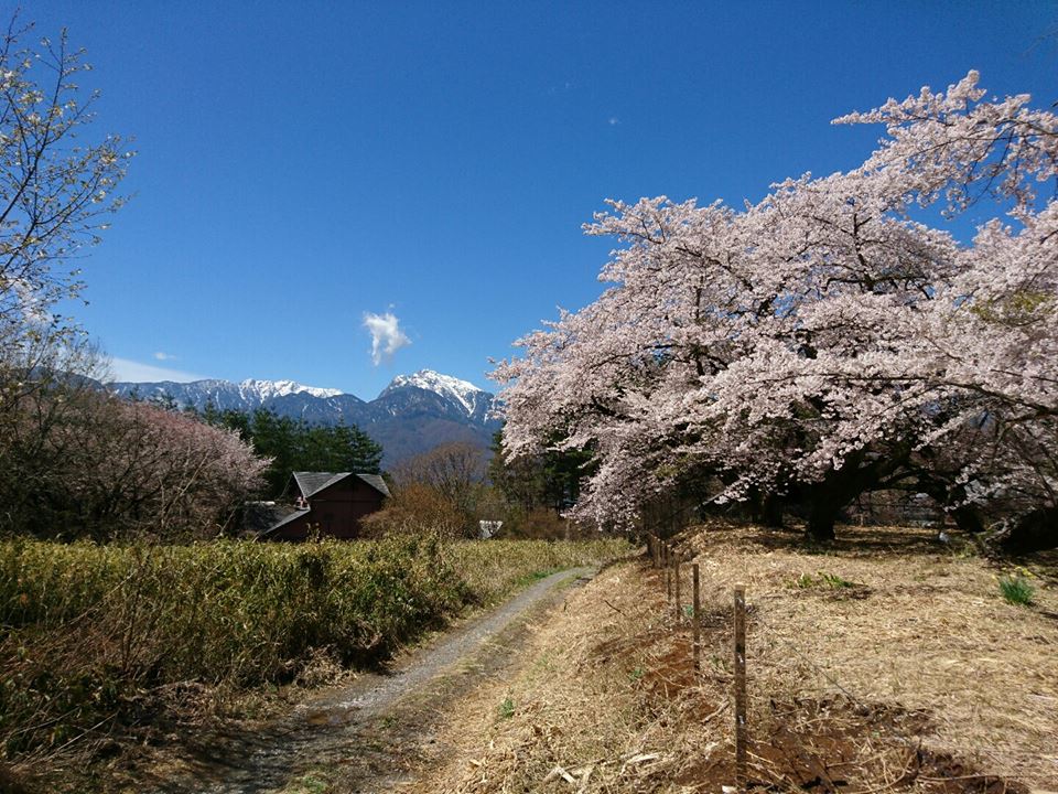 ふるさと風景_f0161535_152392.jpg