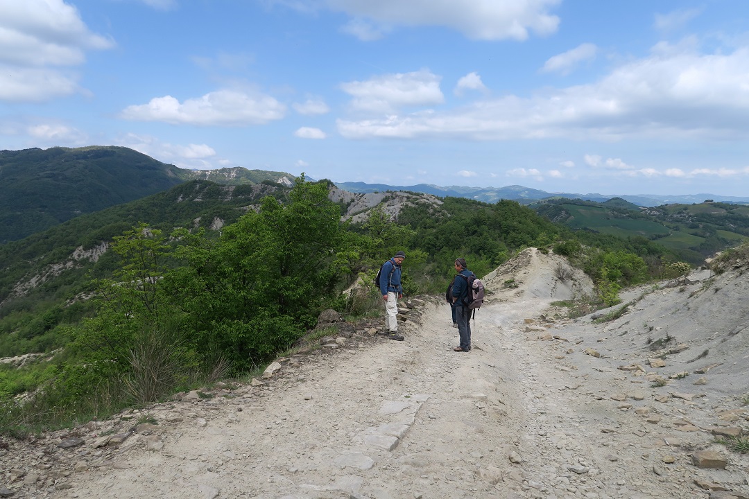 屋根崩れツタ満つ教会・蘭・マロニエ、イタリア月面登山1_f0234936_6473084.jpg