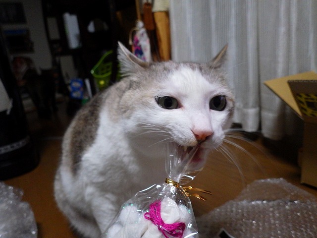 a0337237_16014243.jpg