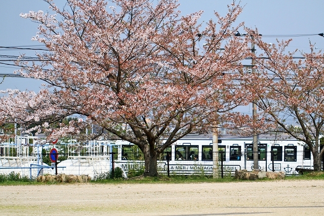 a0242438_20241321.jpg