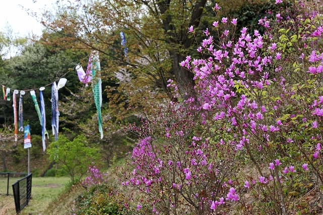 a0242438_20241389.jpg