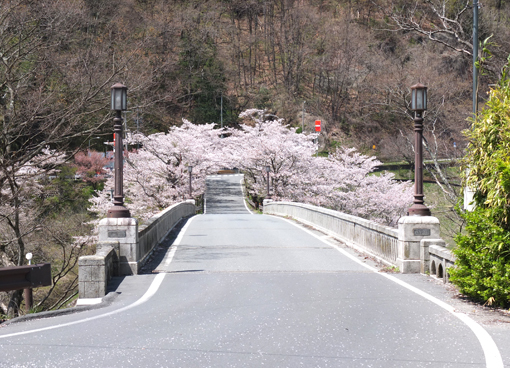 登録有形文化財の橋とお花見_a0206939_10520590.jpg