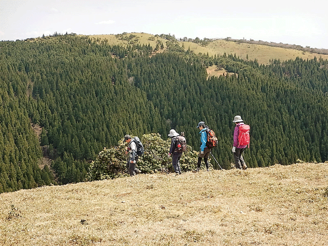 e0371039_65116.gif
