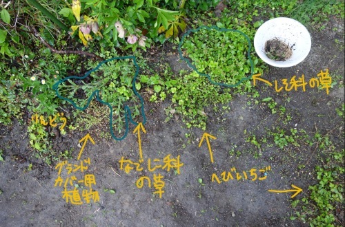 f0375039_19143912.png