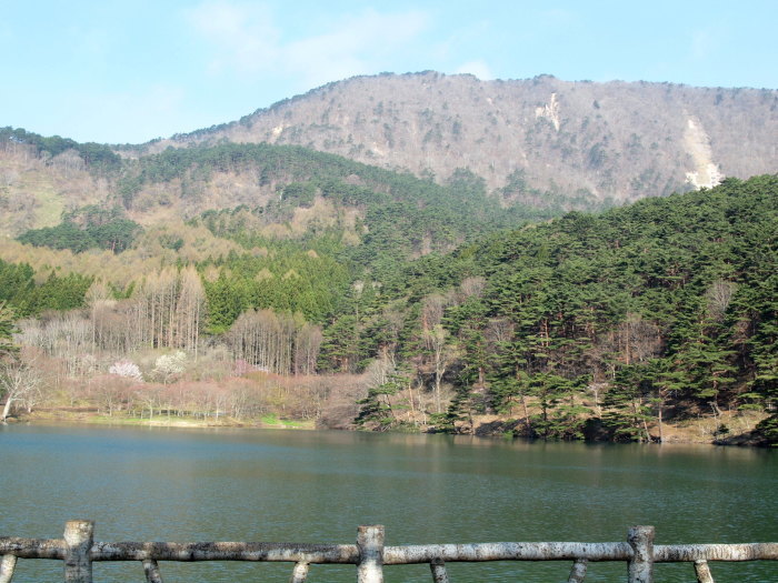 b0077541_16465667.jpg