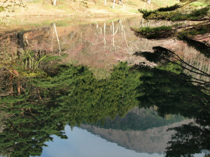 b0077541_16534370.jpg